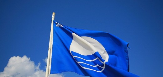 Голубой флаг